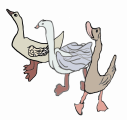 ga_nse_nach_links_farbig_(1).png